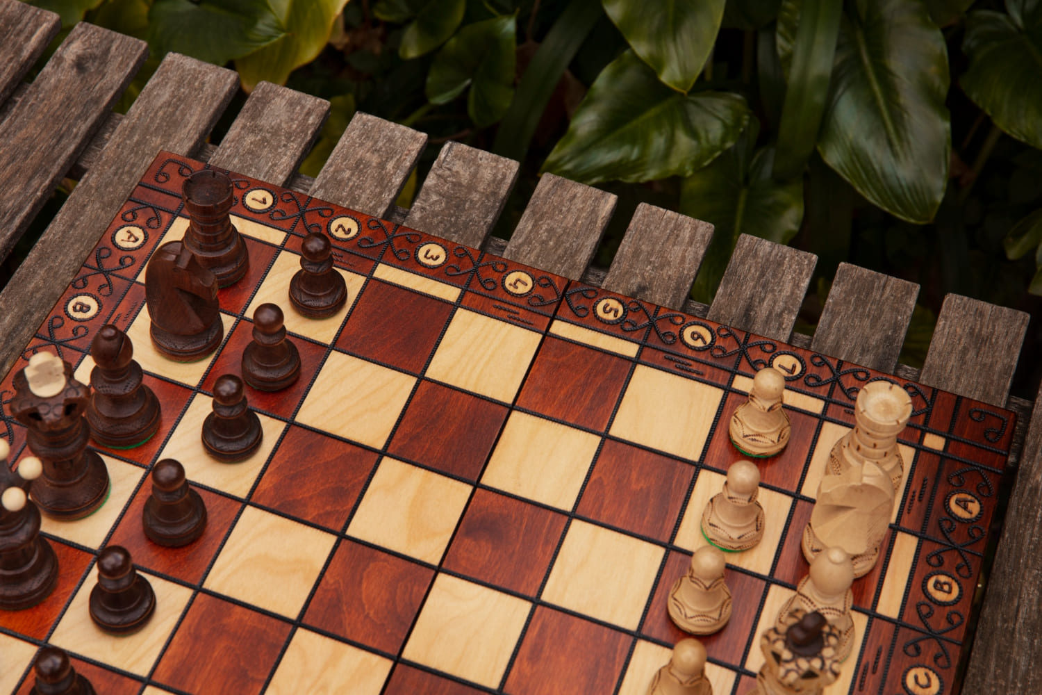 Chess  and pieces