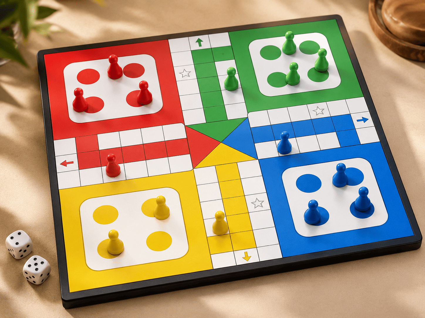 Colourful Ludo  game